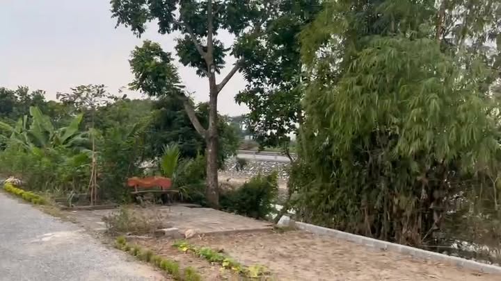 Đất nền thôn Đồng Lạc, Minh Khai, Hưng Hà 99m² giá 2.6 tỷ - View sông thoáng đãng!