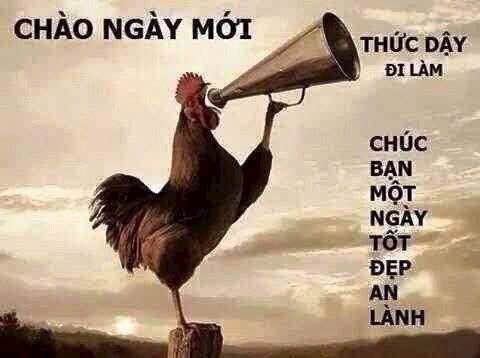 Nhà bán tại Nhị Châu, Hải Dương 50m² giá 1.35 tỷ - Lô góc 2 hướng, tiện ích đầy đủ!