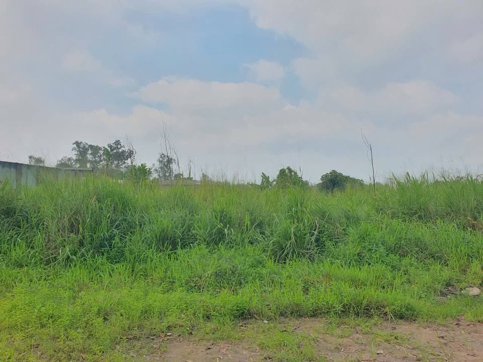 Đất thổ cư 200m² tại Thiện Tân, Vĩnh Cửu - Giá 2.9 tỷ - Đầu tư sinh lời hấp dẫn!