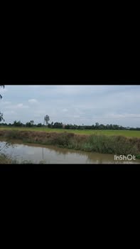 Đất nông nghiệp 8000m² xã Bình Hòa Đông, Mộc Hóa - Cơ hội đầu tư hấp dẫn!