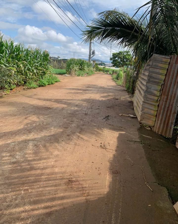 Đất nền Phú Hội, Đức Trọng 150m² giá 1.12 tỷ - Cơ hội đầu tư hấp dẫn!