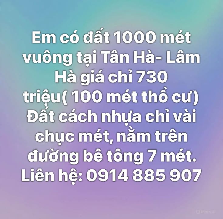 Đất nền Tân Hà Lâm Hà 1000m² giá chỉ 730 triệu - Cơ hội đầu tư tuyệt vời!