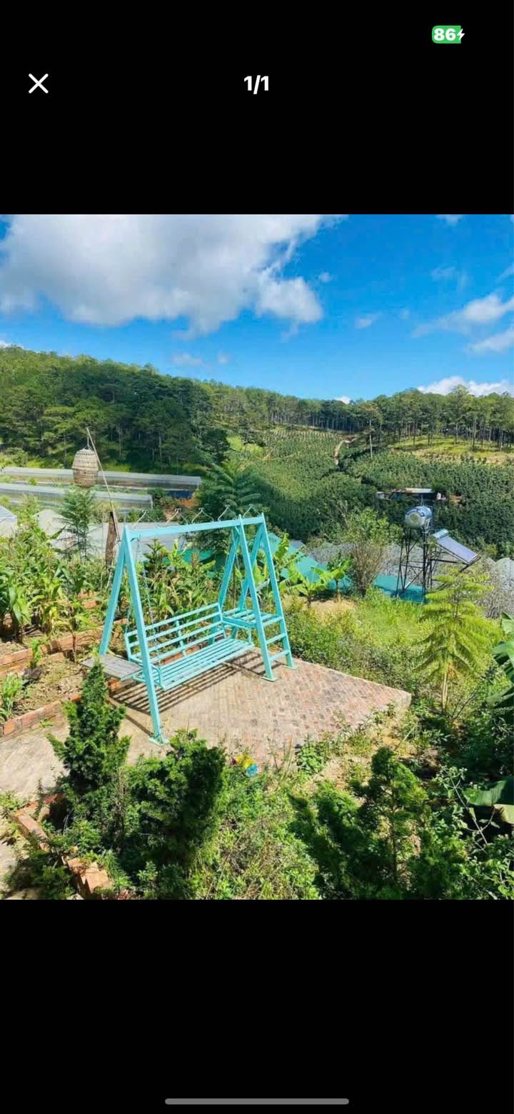 Đất nền Đà Lạt 85m² giá 490 triệu - Hẻm bê tông ô tô vào tận nơi!