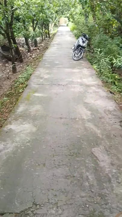 Đất 3500m² An Thái Đông Cái Bè giá 2.5 tỷ - Đầu tư sinh lời bền vững!