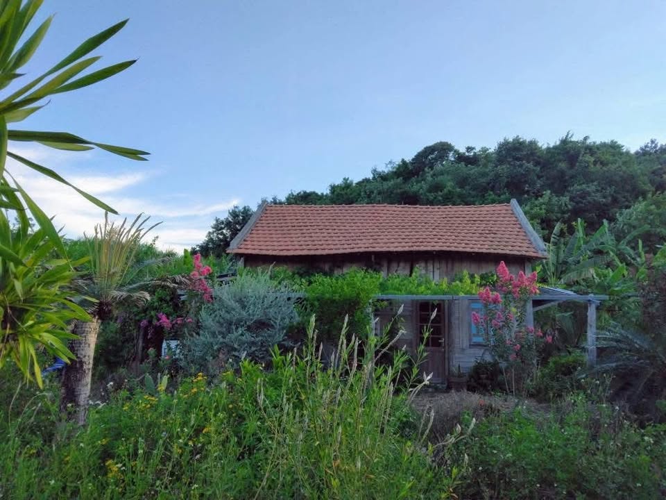 Đất nền phường Sơn Nguyên 10,000m² - Sổ đỏ chính chủ, giá thỏa thuận hấp dẫn!