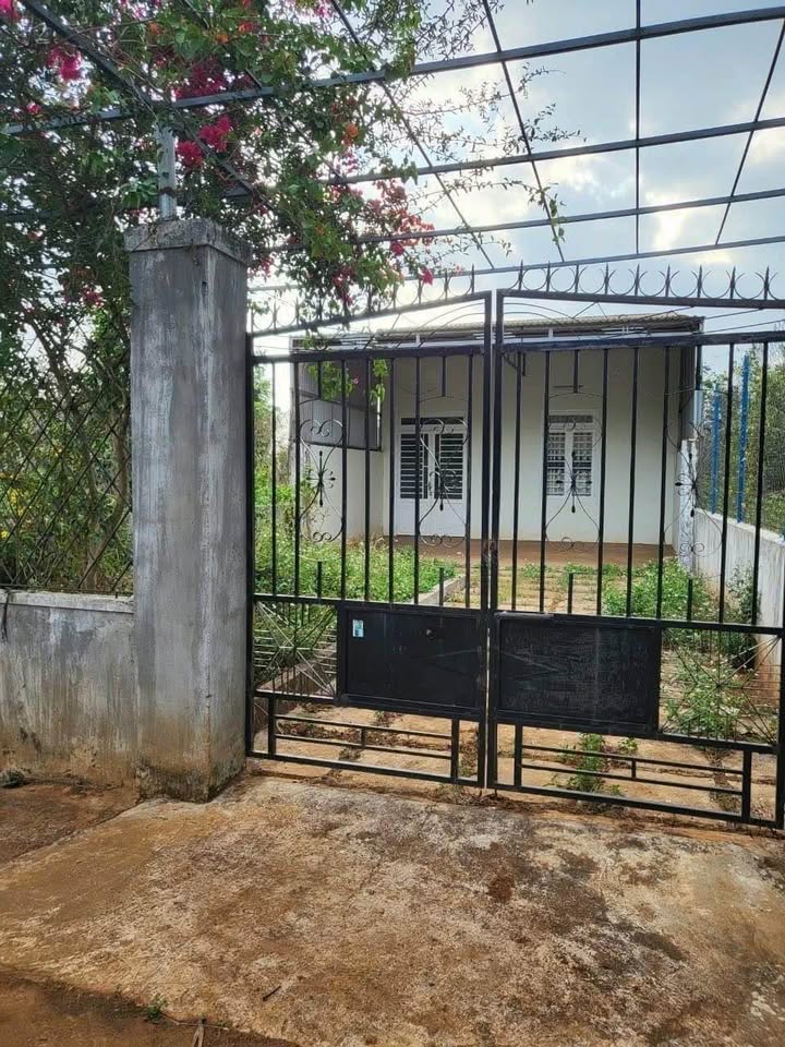 Nhà vườn 6.4x42m tại xã Ea Tu, Buôn Ma Thuột - Giá chỉ 1.5 tỷ!
