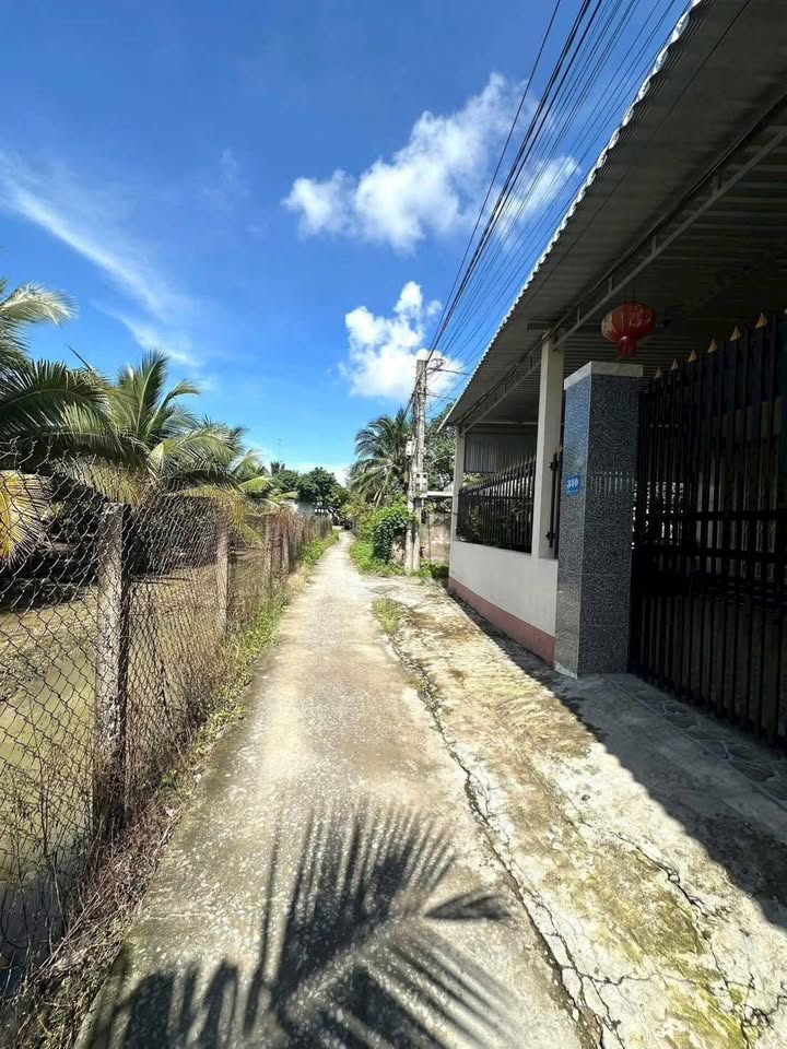 Đất 1000m² tại xã Lợi Bình Nhơn, Tân An, Long An - Giá chỉ 870 triệu!