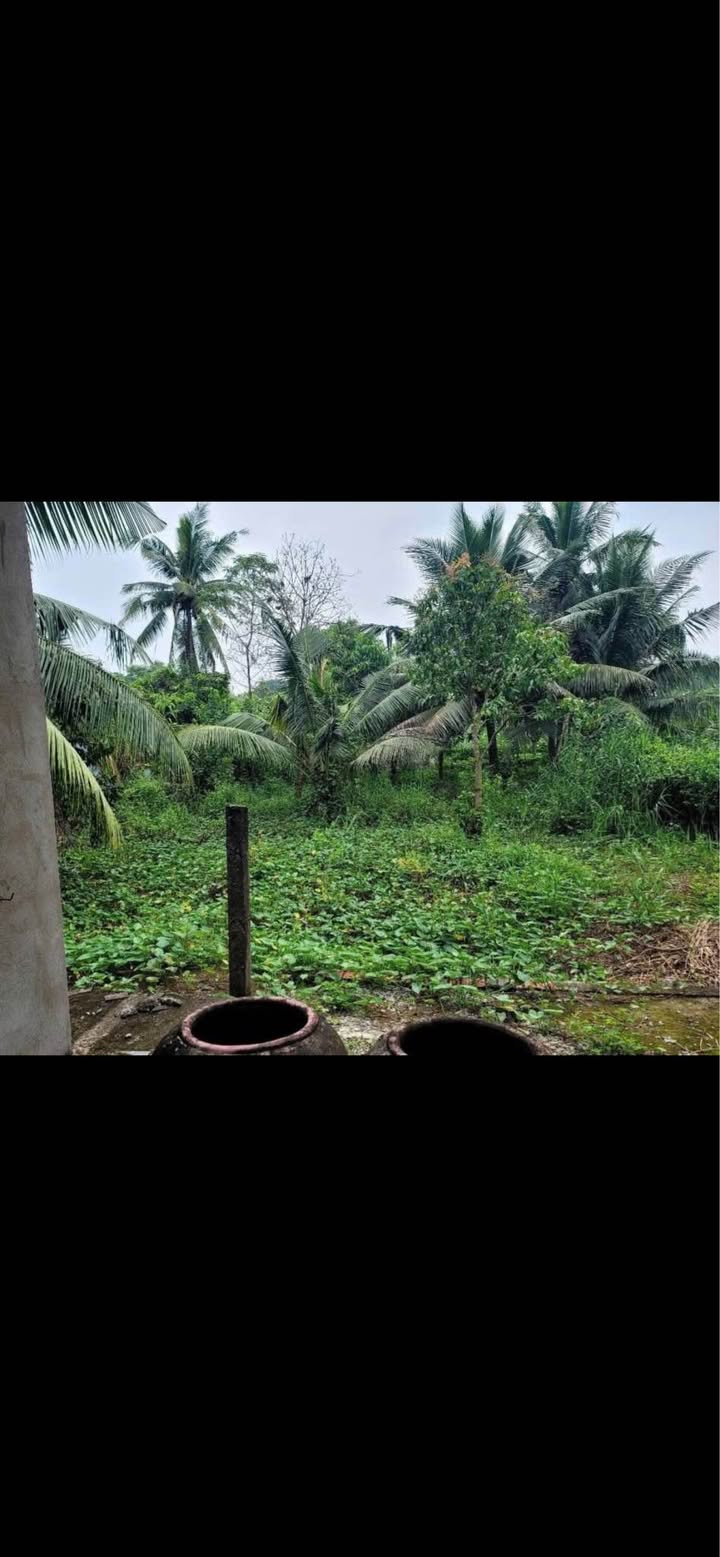 Đất nền Phú Vang, Bình Đại 837.9m² giá 700 triệu - Cơ hội sở hữu ngay!