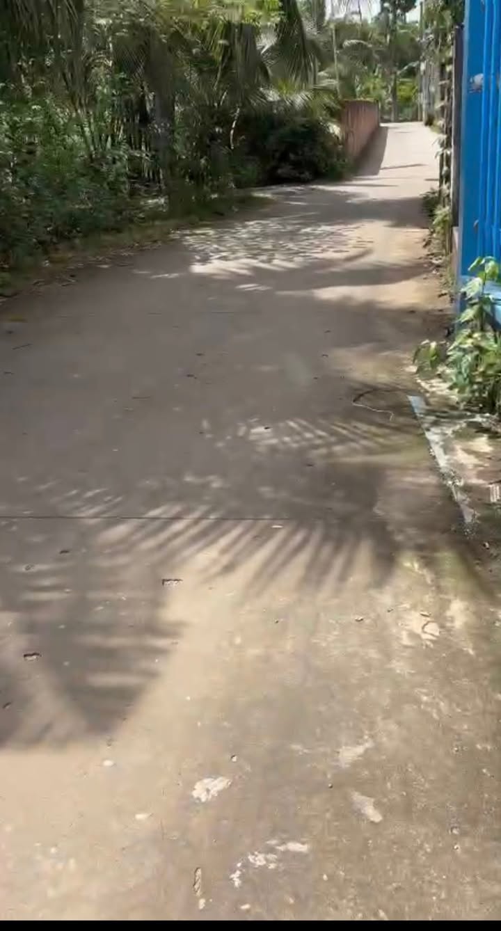 Đất nền khu phố 6 Bến Tre 344m² giá 1.1 tỷ - Cơ hội đầu tư tuyệt vời!