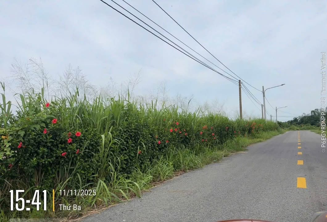 Đất nền Láng Dài, Đất Đỏ 500m² giá 800 triệu - Đầu tư sinh lời ngay!