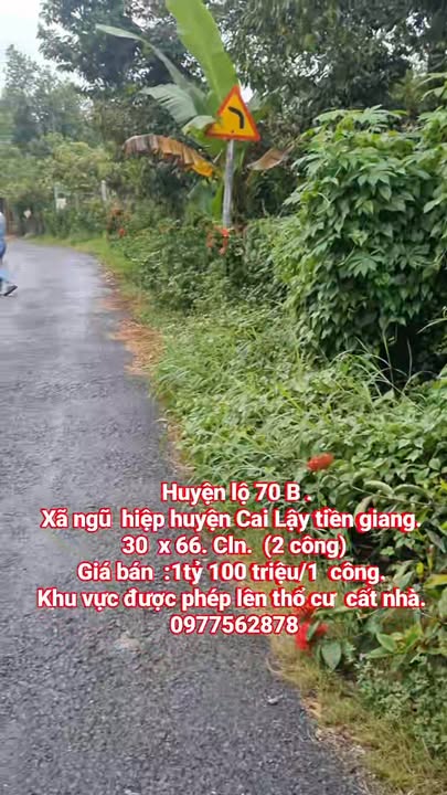 Đất vườn sầu riêng 2000m² tại Ngũ Hiệp - Giá chỉ 2.2 tỷ VND!