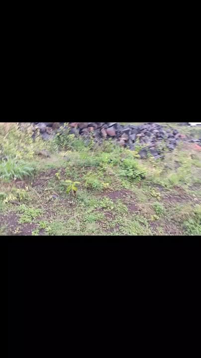 Đất phun hồng 1ha tại xã Ea M'Droh, Cư M'gar – Giá 3.6 tỷ, chính chủ bán gấp!