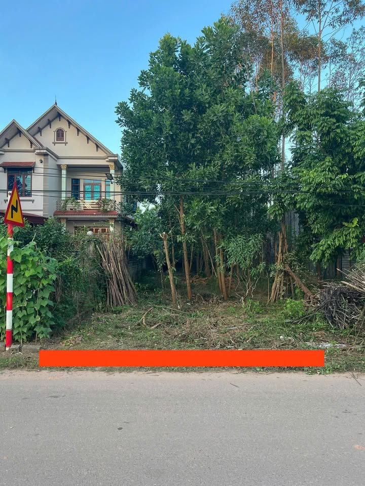 Đất đấu giá Đồng Tâm Yên Thế 100m² giá 1.1 tỷ - Kinh doanh ngay!