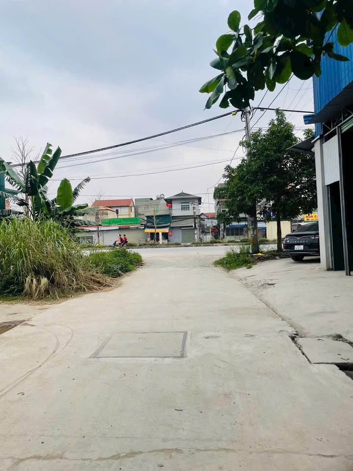 Đất dịch vụ Lại Yên 150m² giá 1.65 tỷ - Đường rộng 9m, vị trí thuận lợi!