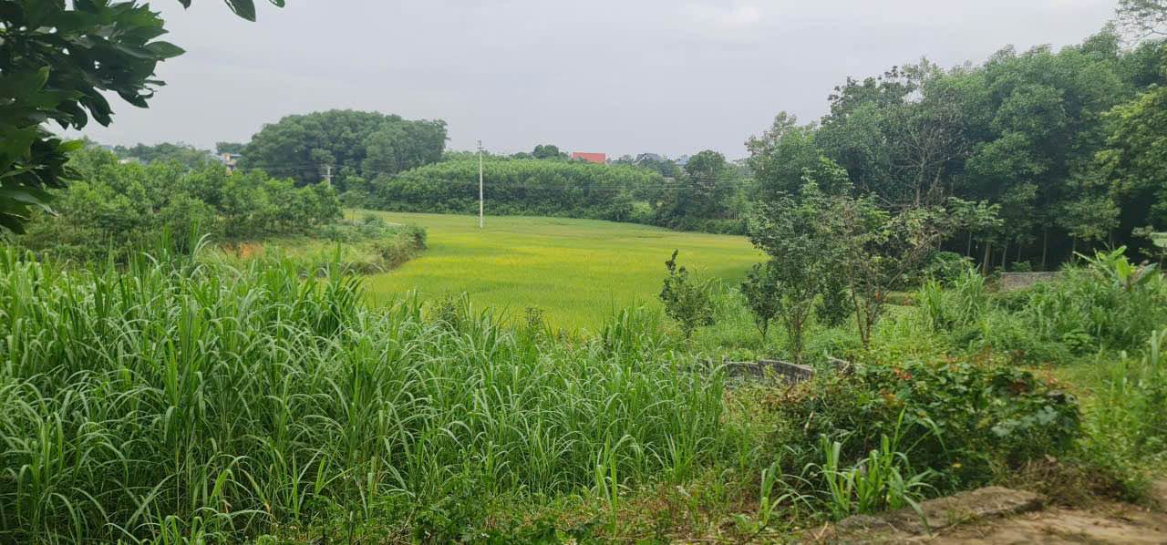 Đất nền 1700m² tại phường Bá Xuyên, Sông Công - Cơ hội đầu tư tuyệt vời!