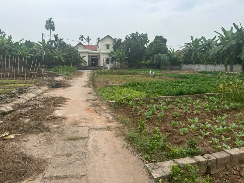 Đất nền Bột Xuyên, Mỹ Đức 91m² chỉ 1 tỷ - Cơ hội vàng cho nhà đầu tư!