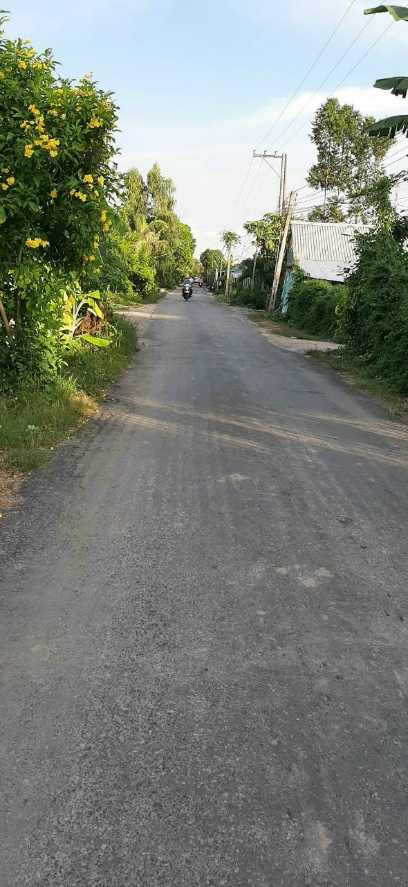 Nhà cấp 4 tại xã Vĩnh Khánh, huyện Thoại Sơn, 353m² - Giá chỉ 1 tỷ VND