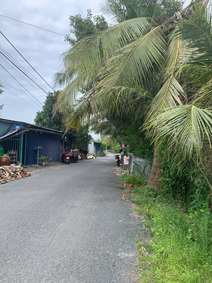 Nhà đẹp tại Phú Hoà, An Giang 152m² chỉ 1.1 tỷ - Sẵn sàng giao dịch ngay!