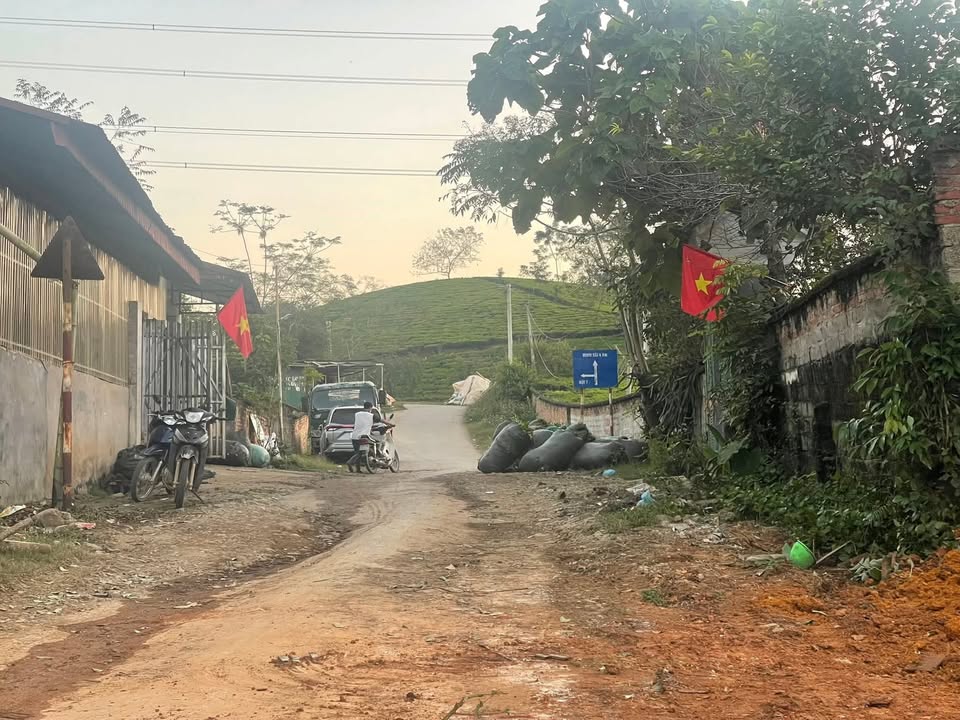 Đất nền thương mại xã Minh Đài, 1317m² chỉ 300 triệu - Cơ hội đầu tư hấp dẫn!