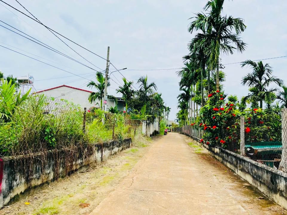 Đất thổ cư Ea Kao 145m² giá 820 triệu - Gần hồ Eakao, bớt lộc!