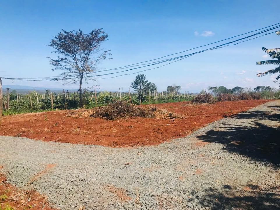 Đất thổ cư Cư Bao, Buôn Hồ 440m² giá 395 triệu - Đầu tư sinh lời nhanh!