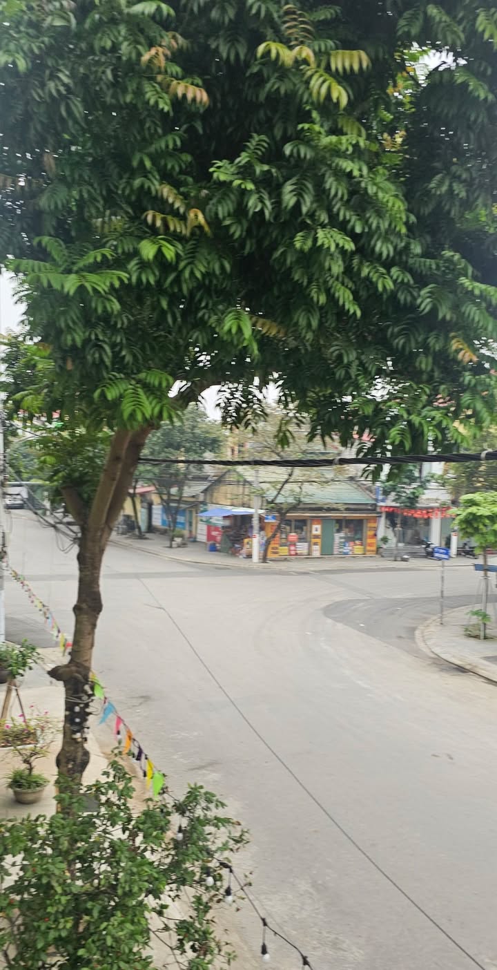 Đất nền 75m² đường Nguyễn Thị Minh Khai, Bích Đào - Giá tốt, thương lượng ngay!