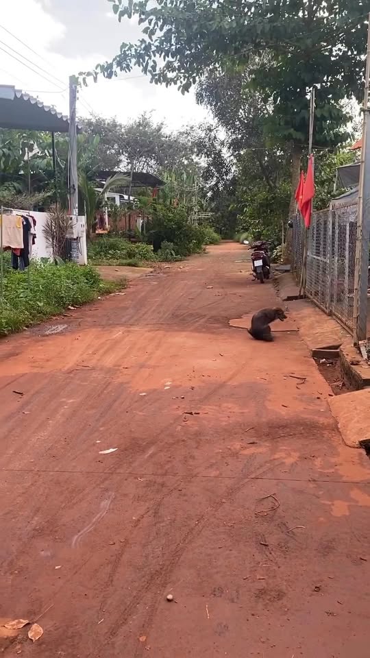 Đất nền Lộc Tấn, Lộc Ninh 100m² giá 400 triệu - Sổ đỏ công chứng ngay!