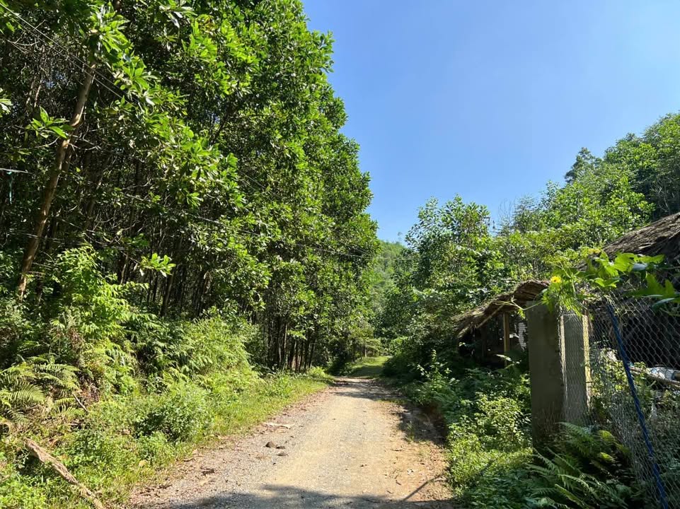 Đất nghỉ dưỡng Minh Hòa Phú Thọ 2482m² giá thỏa thuận - Mặt tiền 44m cực hiếm!