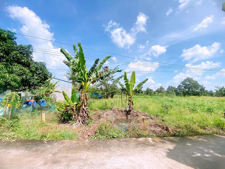 Đất nền Rạch Mương Củi Nhơn Ái 160m² giá chỉ 590 triệu - Cơ hội đầu tư không thể bỏ lỡ!