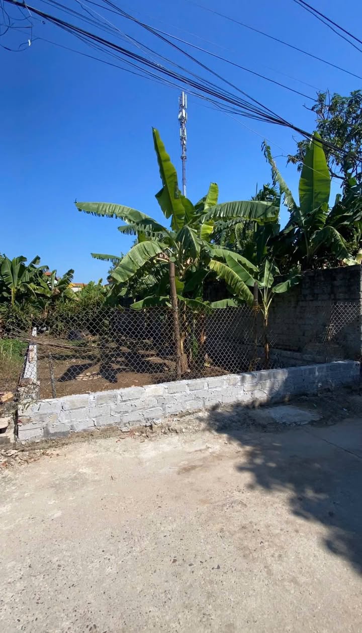 Đất nền Hồng Vân Thường Tín 82.2m² giá 5.136 tỷ - Tiềm năng sinh lời cao!