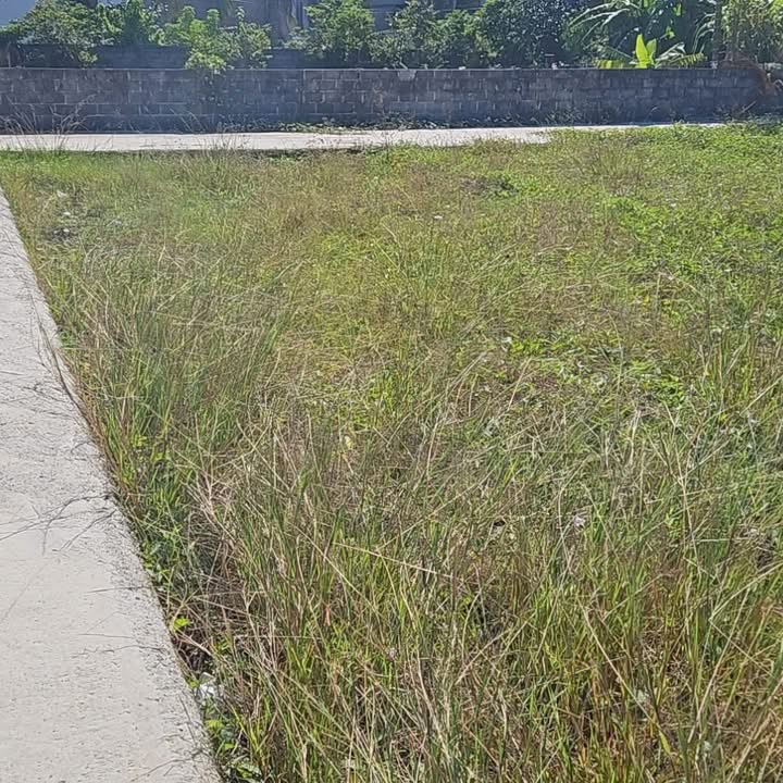 Đất nền Lộc Xá, Kiến Thụy 66m² giá 1.45 tỷ - Lô góc 2 mặt đường