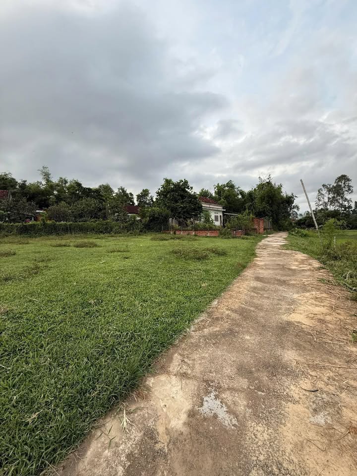 Đất nền Tây Vinh Tây Sơn 400m² giá 300 triệu - Lô góc thuận lợi đầu tư!