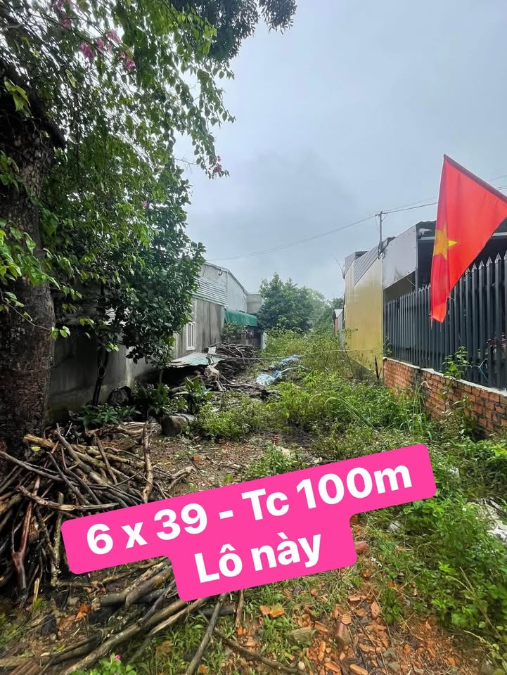 Đất nền Cư Jút 234m² giá 1.35 tỷ - Đối diện bệnh viện, tiện ích đầy đủ!