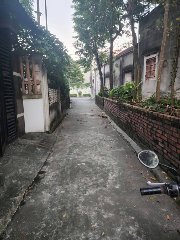 Đất nền Tam Hồng Yên Lạc 100m² giá 1.5 tỷ - Cơ hội đầu tư hấp dẫn!