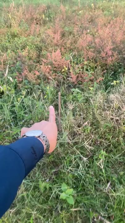 Đất thổ cư Quỳnh Tam 4000m² giá thỏa thuận - Cơ hội đầu tư tuyệt vời!