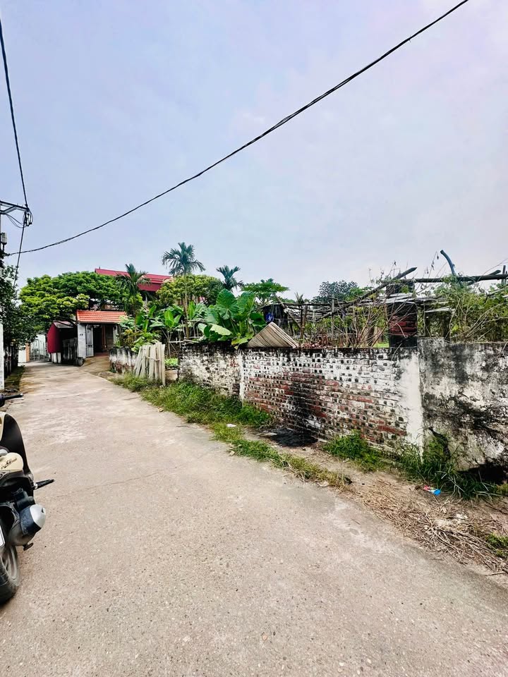 Đất nền Trung Châu, Đan Phượng 41m² giá 1.8 tỷ - Tiện lợi cho đầu tư!