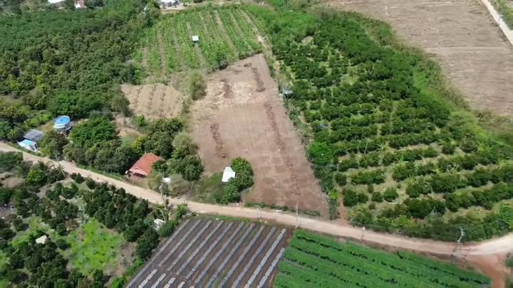 Farm 5 Sào Suối Nho, Định Quán 4.6 tỷ - Đầu tư sinh lời ngay!