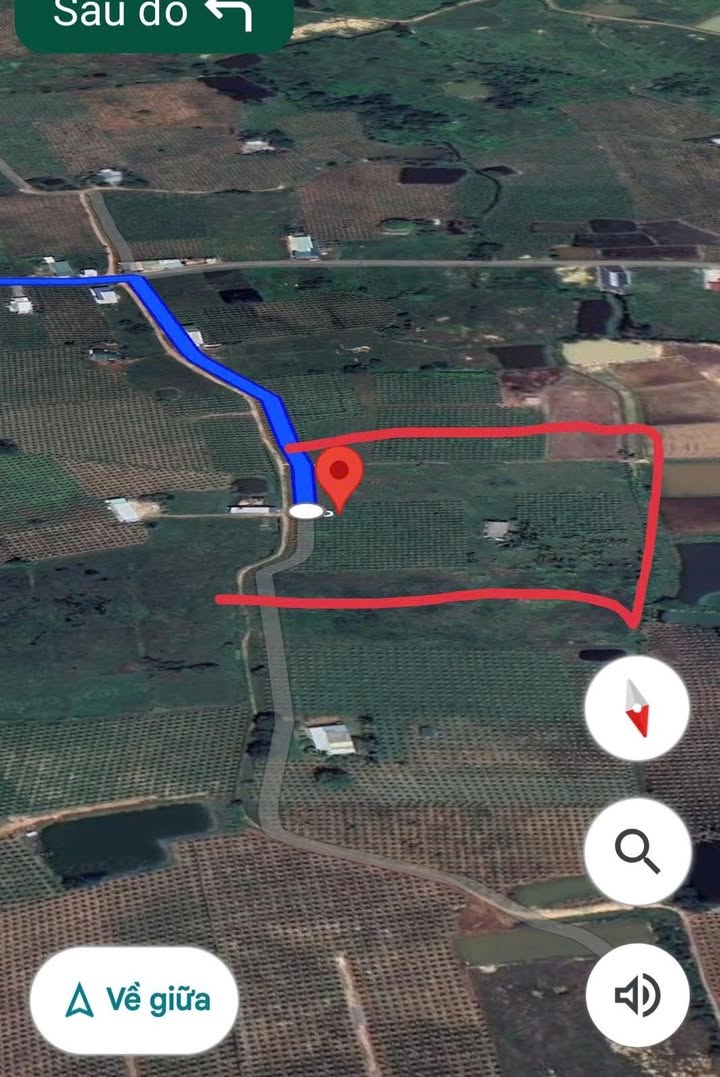 Đất Farm 6,2 sào tại Tân Thuận, Hàm Thuận Nam chỉ 1.3 tỷ - Cơ hội đầu tư tốt!