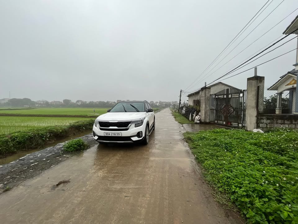 Lô đất thổ cư 194m² tại Tràng An, Bình Lục chỉ 1.1 tỷ - Cơ hội đầu tư tuyệt vời!