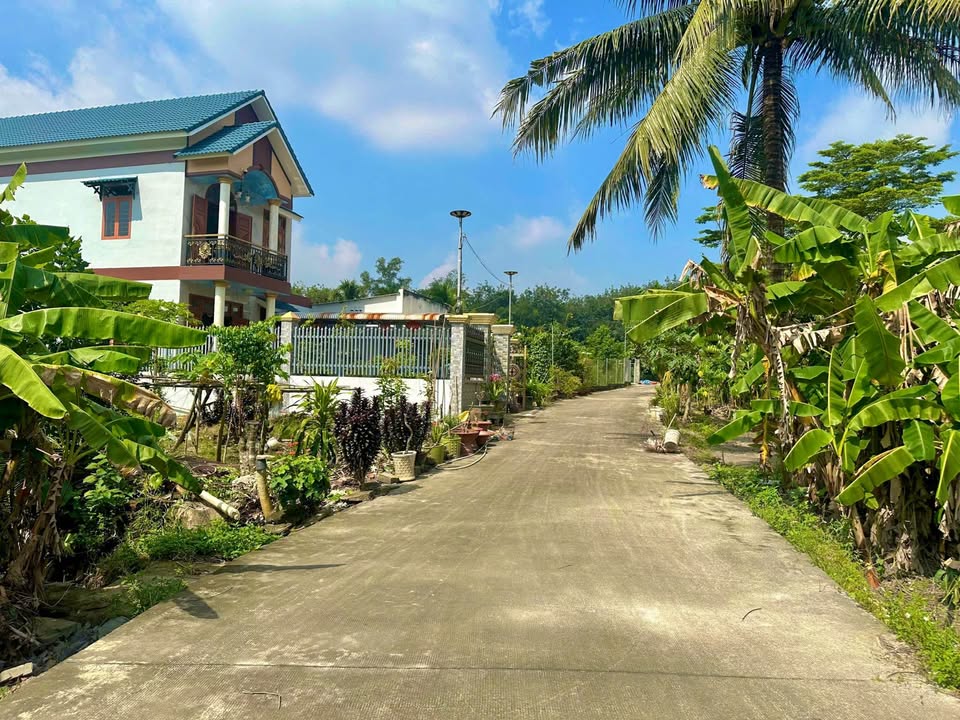 Đất nền An Viễn Trảng Bom 1200m² giá 2.8 tỷ - Phù hợp làm nhà vườn nghỉ dưỡng!