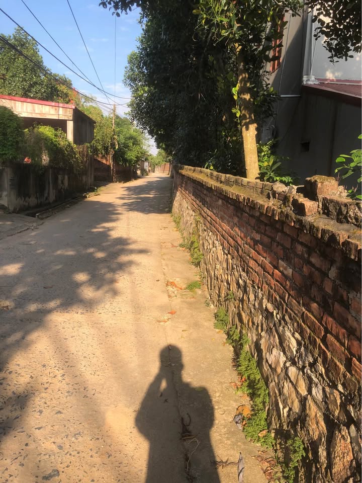 Đất thổ cư Châu Phong, Quế Võ 91.6m² giá 900 triệu - Cơ hội đầu tư tốt!