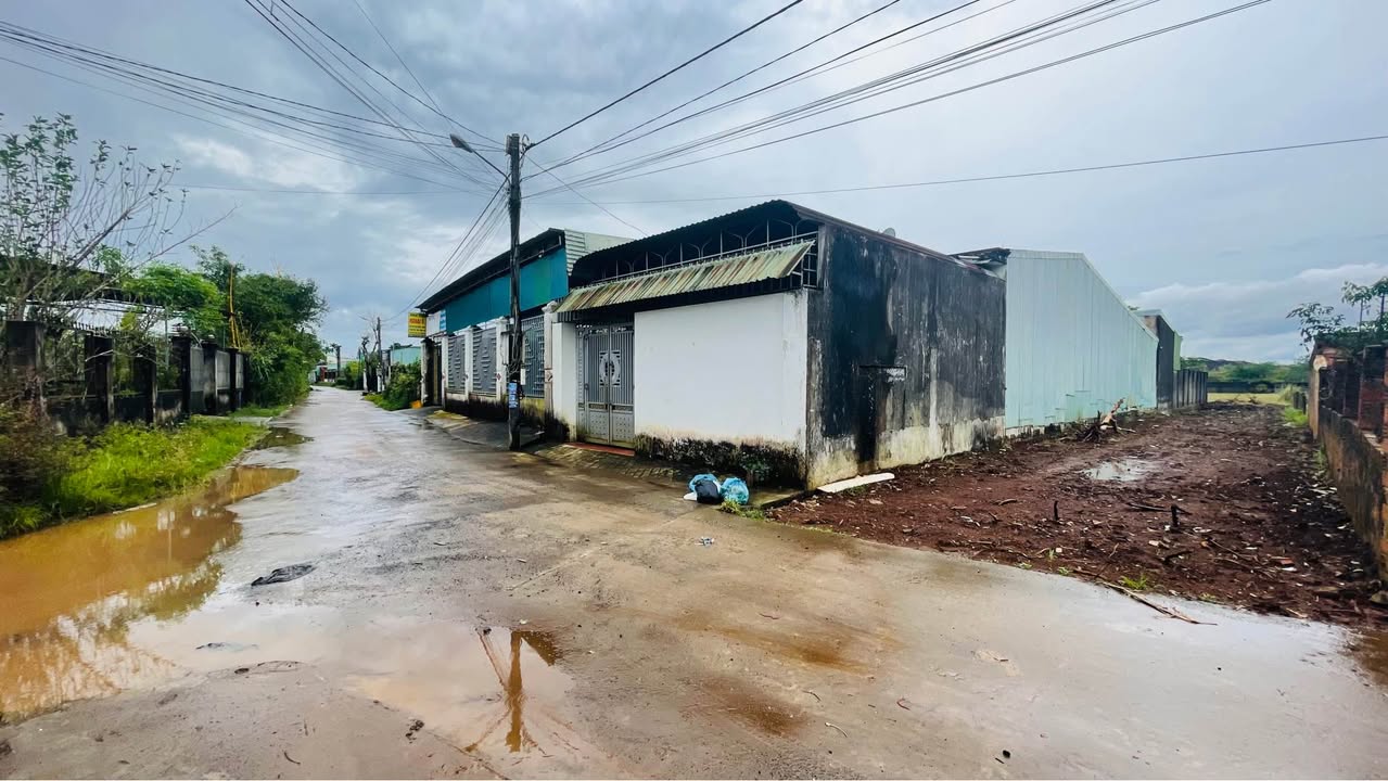 Đất nền hẻm 121 Lê Đại Hành, Phường Thống Nhất, Gia Lai - 280m² chỉ 1.19 tỷ!