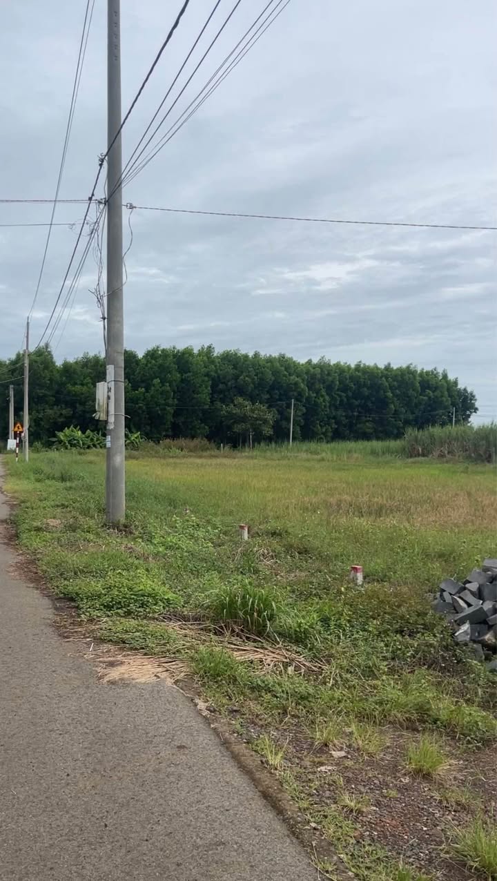 Đất nền Láng Dài Đất Đỏ 1665m² giá chỉ 1.3 tỷ - View ruộng tuyệt đẹp!