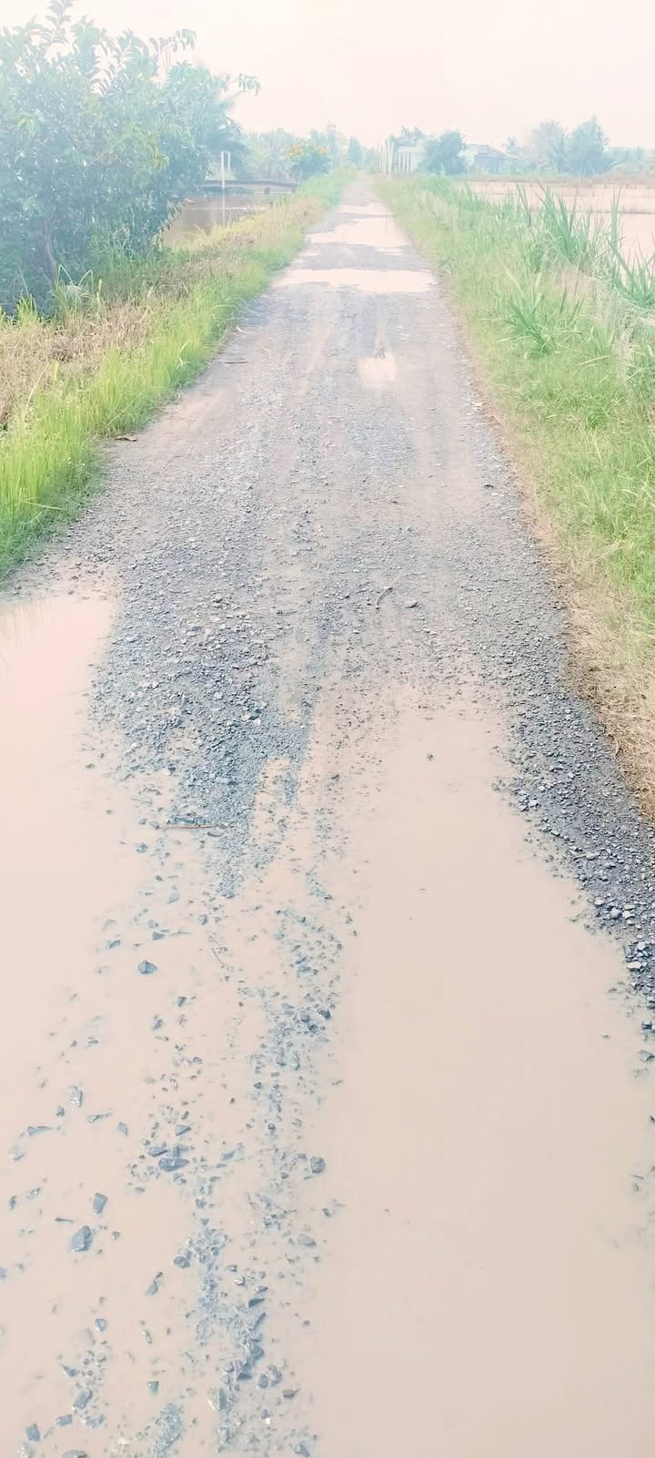 Đất nền 3900m² tại ấp Hộ, xã Tân Điền, giá 1.6 tỷ - Cơ hội đầu tư hấp dẫn!