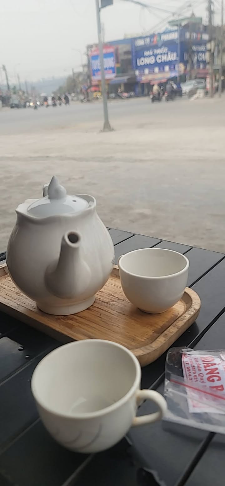 Đất nền chính chủ tại Trường Sơn, An Lão, Hải Phòng - Diện tích 116m² giá 1 tỷ, 85m² giá 9xx triệu, cơ hội đầu tư tuyệt vời!