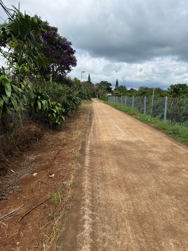 Đất nền Tân Hà Lâm Hà 3600m² giá 1.05 tỷ - Cơ hội đầu tư hấp dẫn!