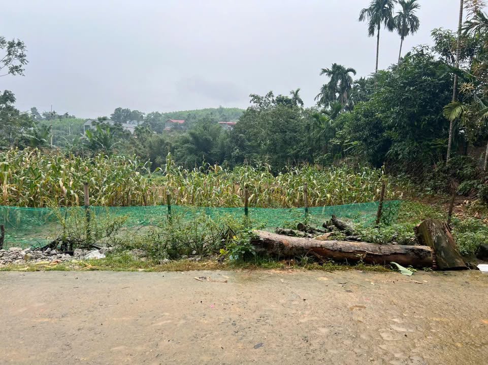 Đất nền Yên Trung Thạch Thất 1080m² - Sổ hồng chính chủ, giá tốt đầu tư!