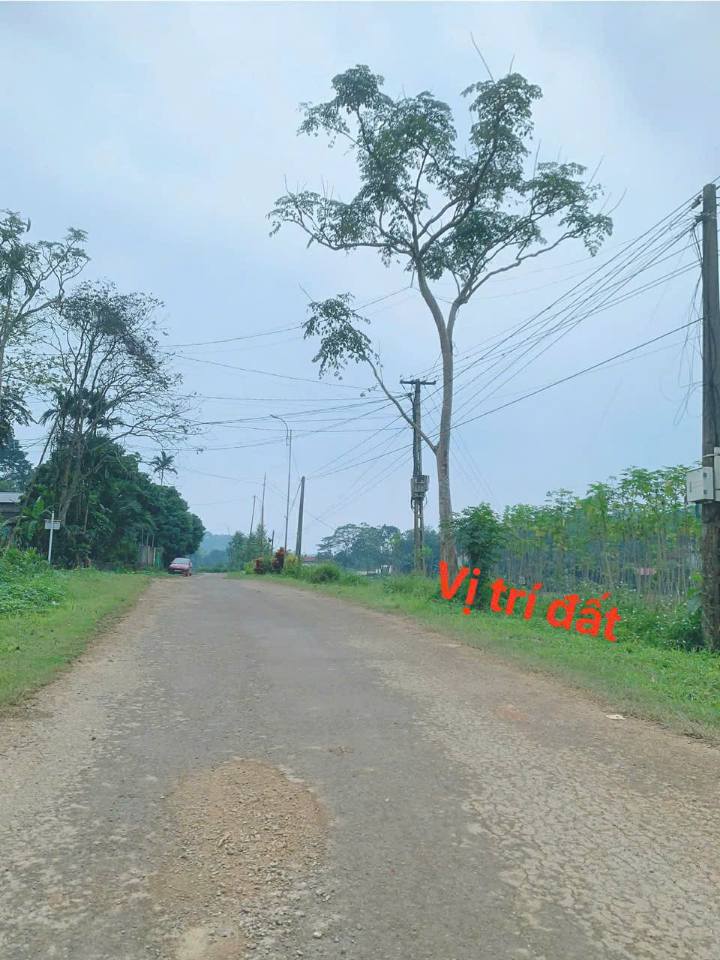 Đất nền Phúc Thịnh Ngọc Lặc 100m² giá cắt lỗ - Đầu tư sinh lời ngay!