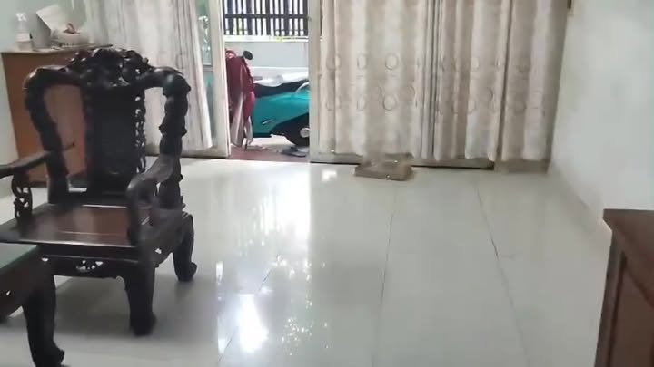 Nhà cho thuê Quận 7 - 60m² giá 16 triệu - Full nội thất, sẵn sàng vào ở!