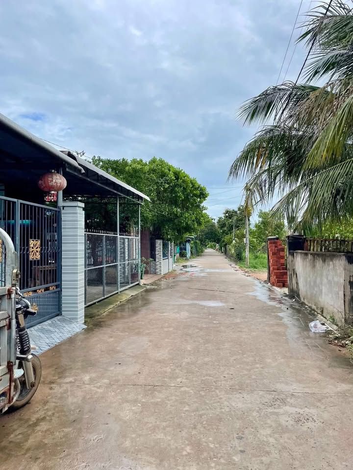 Đất nền mặt tiền đường Số 4, xã Xuân Lộc, 250m² - Giá chỉ 1.55 tỷ!